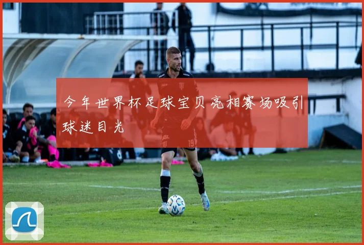 今年世界杯足球宝贝亮相赛场吸引球迷目光
