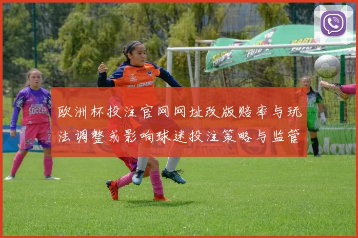欧洲杯投注官网网址改版赔率与玩法调整或影响球迷投注策略与监管关注