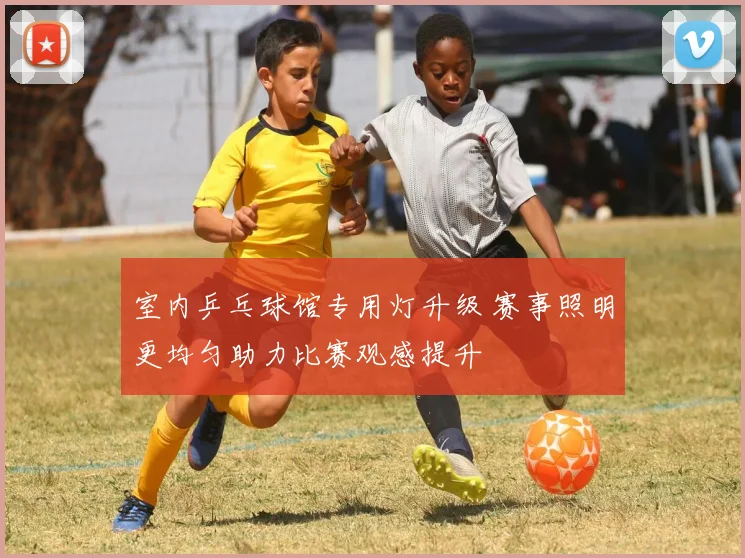 室内乒乓球馆专用灯升级 赛事照明更均匀助力比赛观感提升