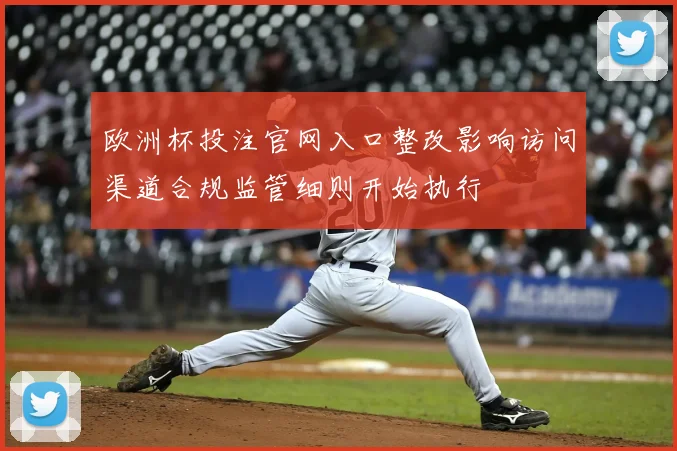 欧洲杯投注官网入口整改影响访问渠道合规监管细则开始执行