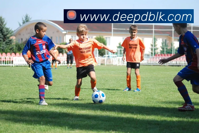 火狐官网入口服务体系